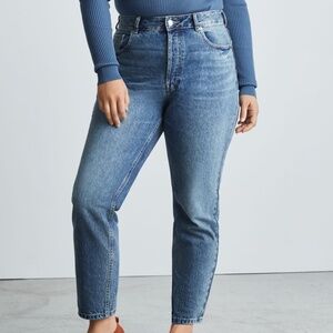 Everlane Vintage Mid Blue Curvy Jeans